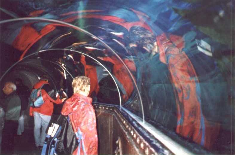 sealife_aquarium4