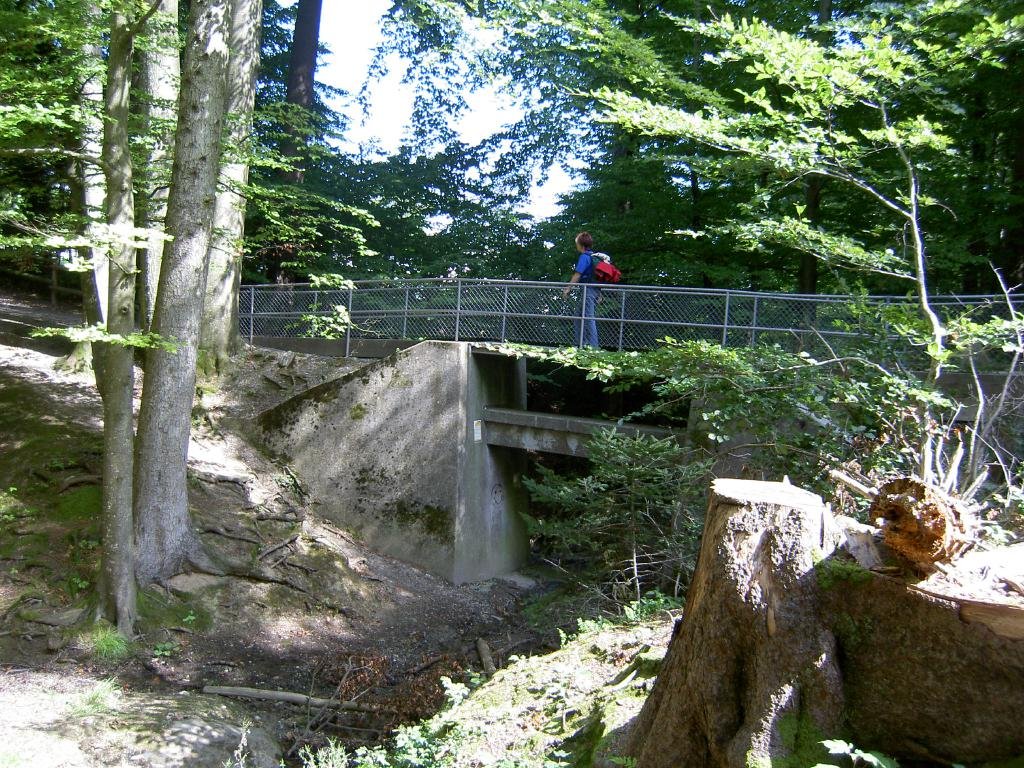 bild009