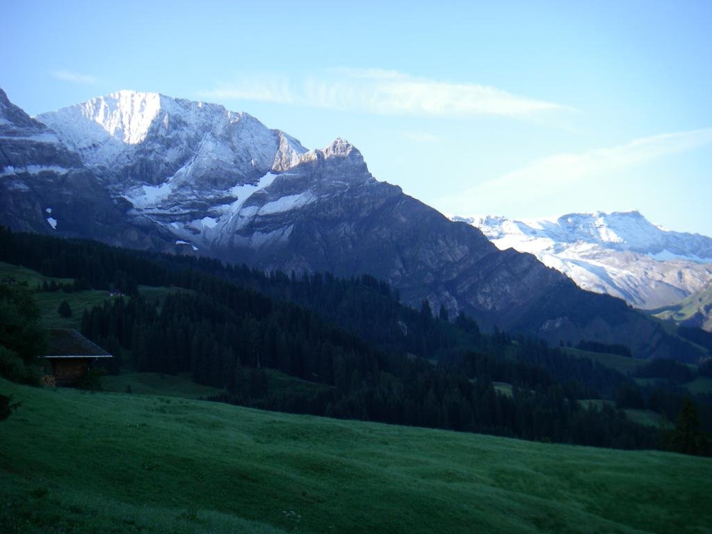 imgp0204