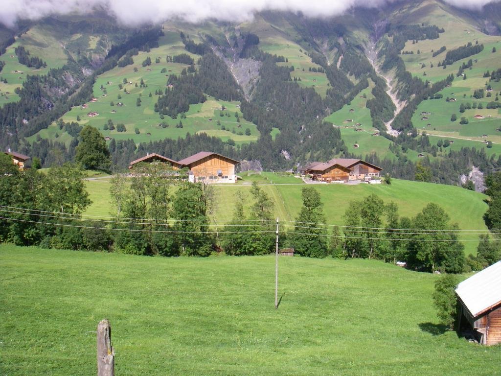 imgp0208