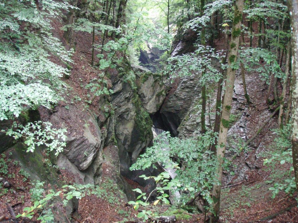p8252402