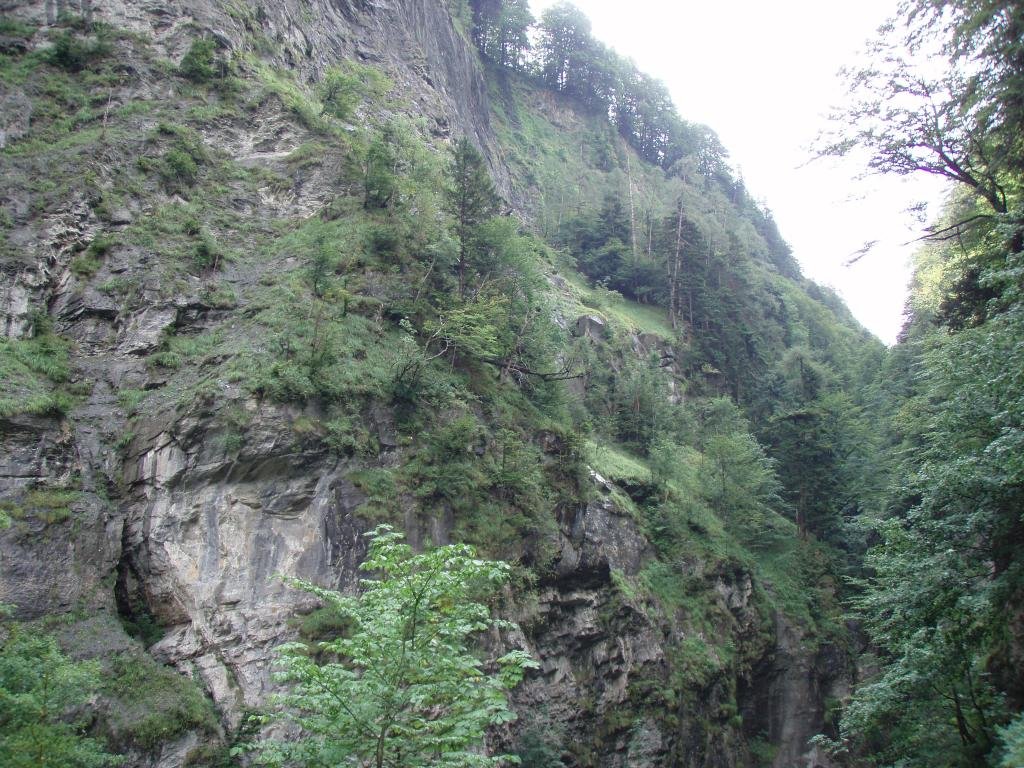 p8252406