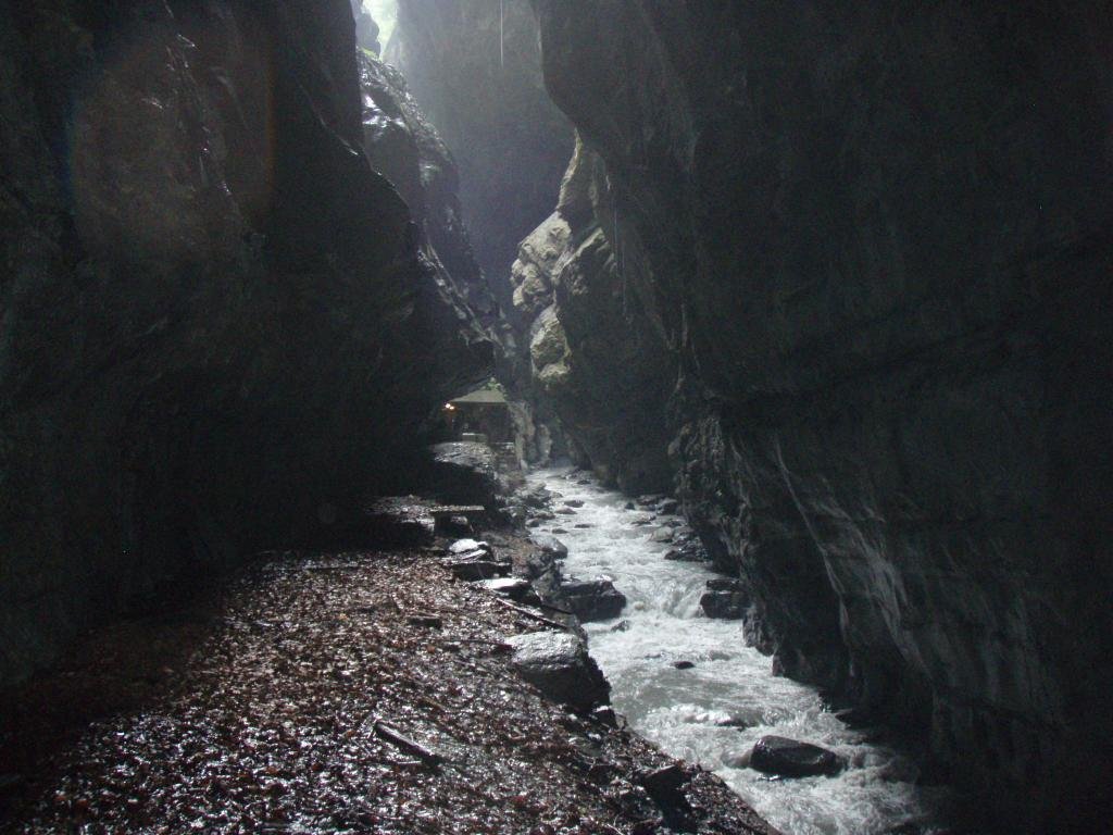 p8252407