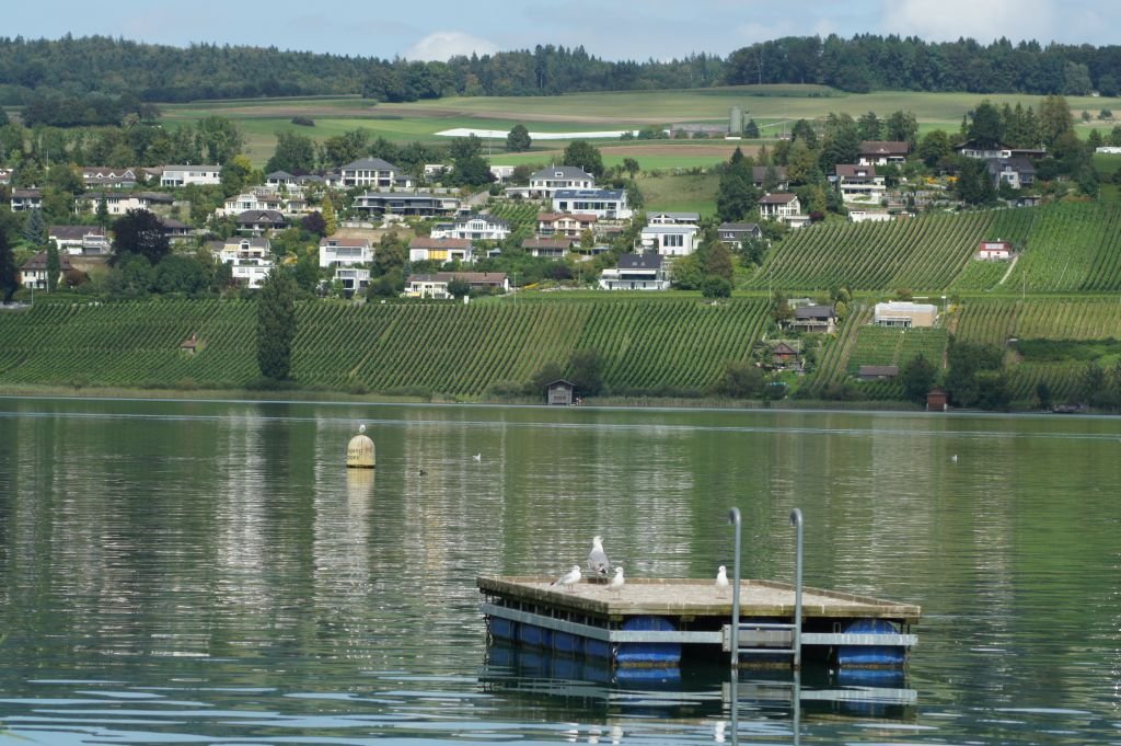 clubausflug14_258
