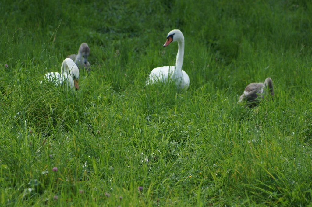 clubausflug14_260