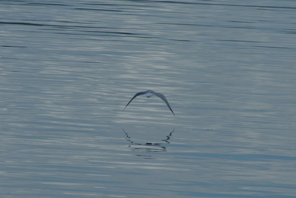 clubausflug14_276