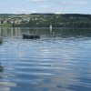 clubausflug14_256