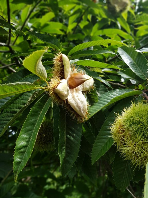 20190824_134127