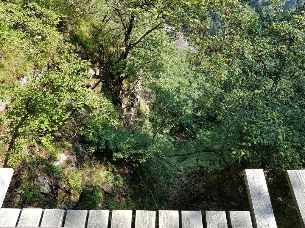 20190825_104938