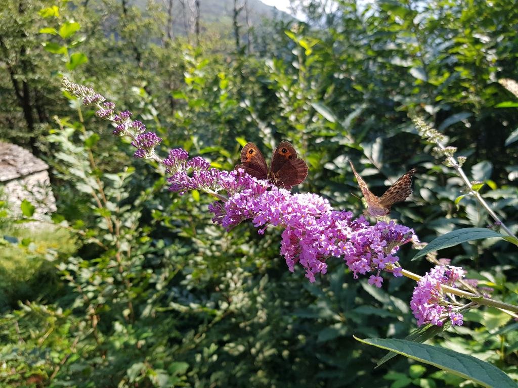 20190825_105356