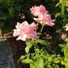 20190825_082051