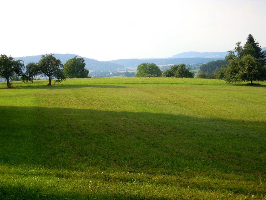 dscn6346