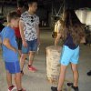 dscn6358